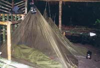 Mossie nets - essential in the jungle!